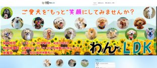 犬の幼稚園 わんLDK
